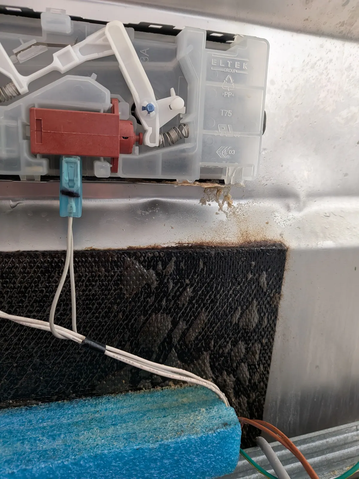 Zbliżenie: zacieki i osad pod uszczelką dozownika zmywarki